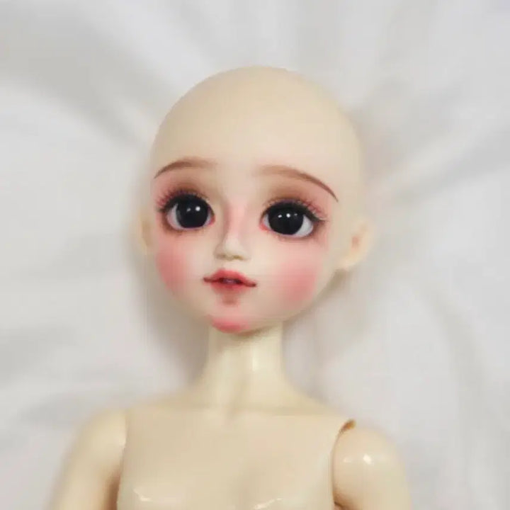 [BUNJANG] BJD MSD Body (Fanta Root) Unsealed / 구체관절인형 MSD 막본체