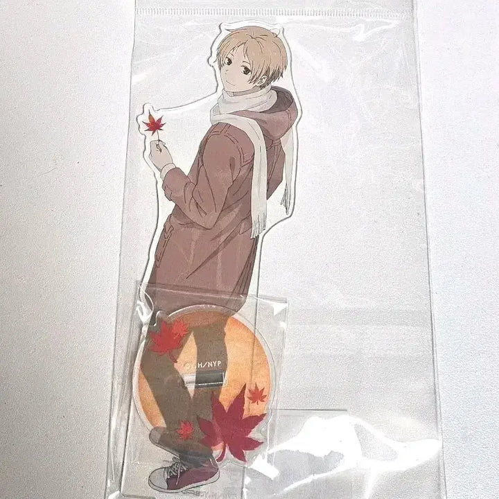 [BUNJANG] Natsume&