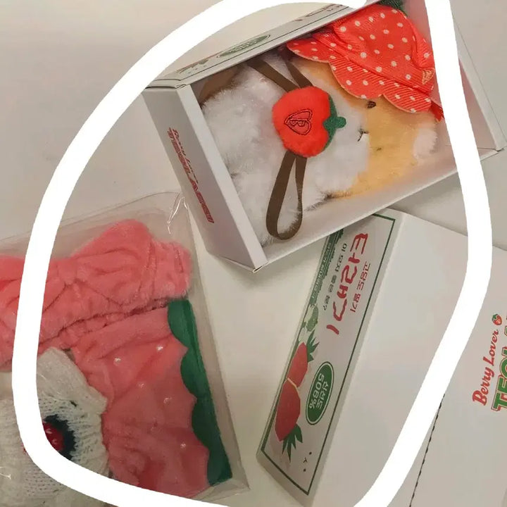 [BUNJANG] Baekhyun Strawberry Plush + 2 Outfit Bundle Set / 경매 백현 딸기 터래기+인형 옷 2벌