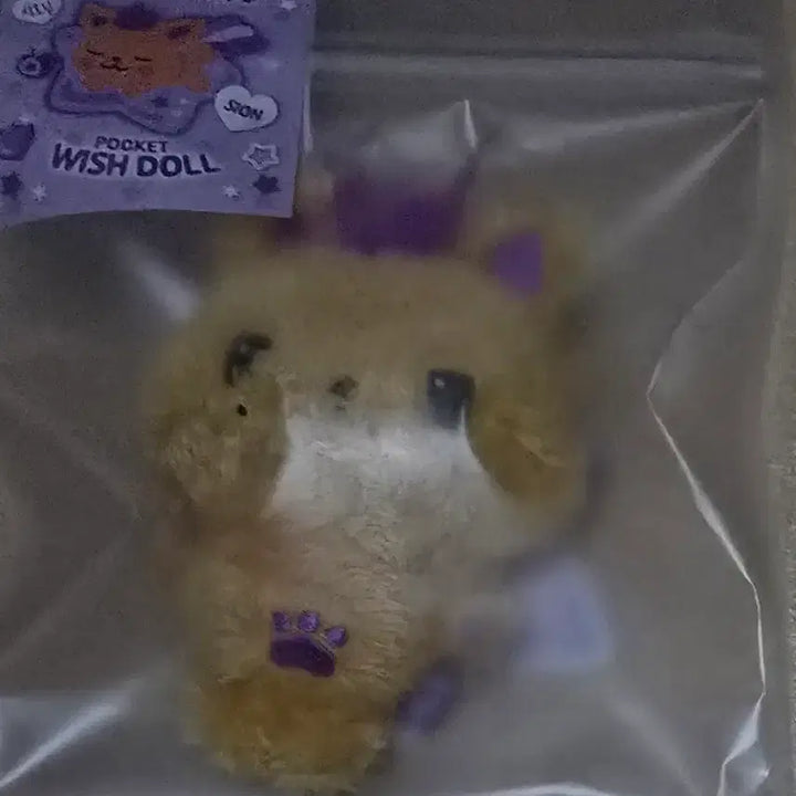 [BUNJANG] Pocket Wishdol Siyoning Sealed / 포켓위시돌 시오닝 미개봉 양도