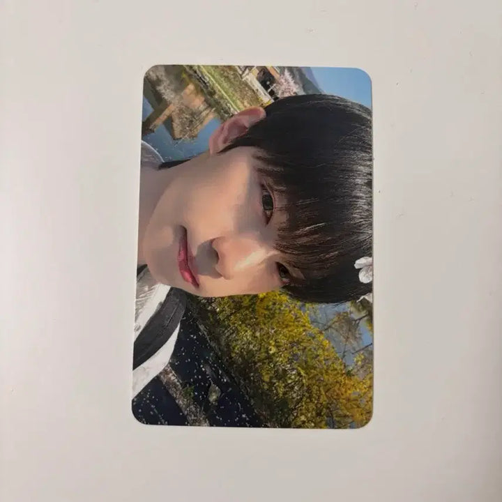 [BUNJANG] FlareU Choi Ripwoo Hello Live Video Call Photocard / 플레어유 최립우 헬로라이브 비디오콜 급처!