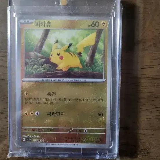 [BUNJANG] Pokemon Card Pikachu Master Ball / 포켓몬카드 피카츄 마스터볼