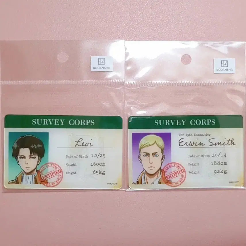 [BUNJANG] Attack on Titan Levi &amp; Erwin Military ID Acrylic Card Set (2 Types) / 진격의 거인 리바이+엘빈 병단증 아크릴 카드 2종세트