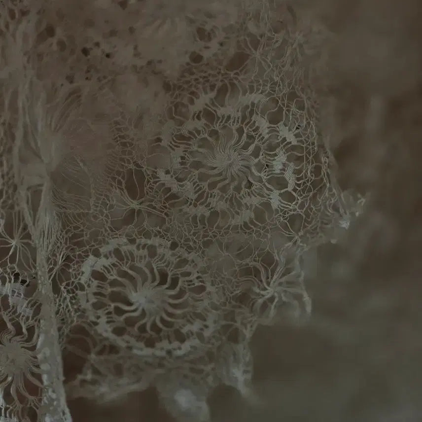 [BUNJANG] French Antique Doily Lace / 프랑스 앤틱 도일리