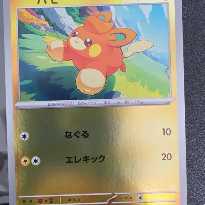 [BUNJANG] Pokemon Card Pammo Promo Japanese / 포켓몬 카드 빠모 프로모 일판