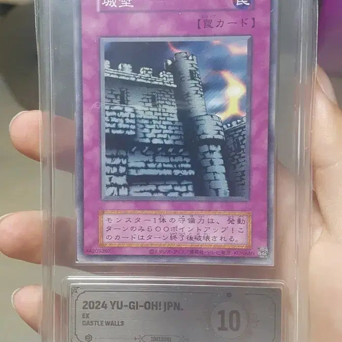[BUNJANG] Yu-Gi-Oh! Wall Monster 1st Edition PCG 10 / 유희왕 카드 성벽 1기 복각 pcg10 팝니다