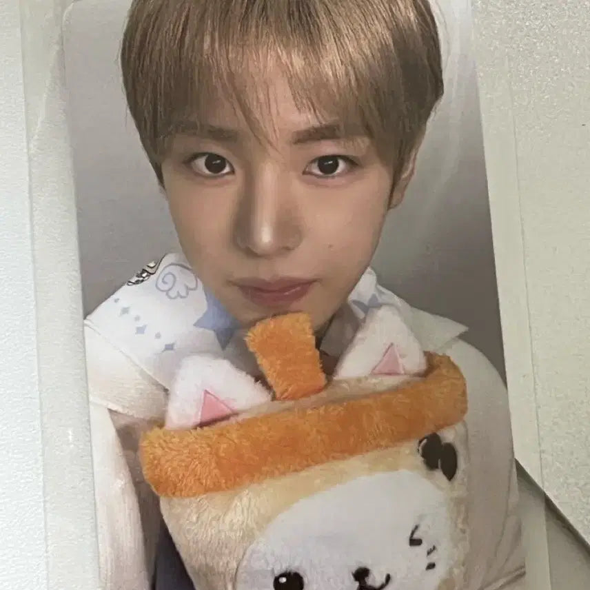 [BUNJANG] NCT WISH Wish Bakery Popup POB Yushi Photocard / 엔시티 위시 위시베이커리 팝업 7만원 특전 포카 유우시