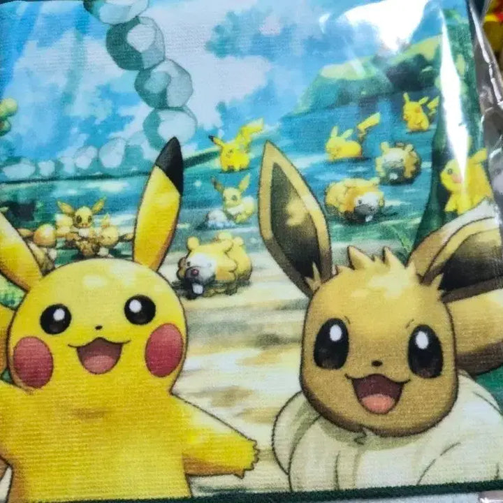 [BUNJANG] Pocket Park Kanto Limited Handkerchief / 포켓파크 칸토 한정 손수건