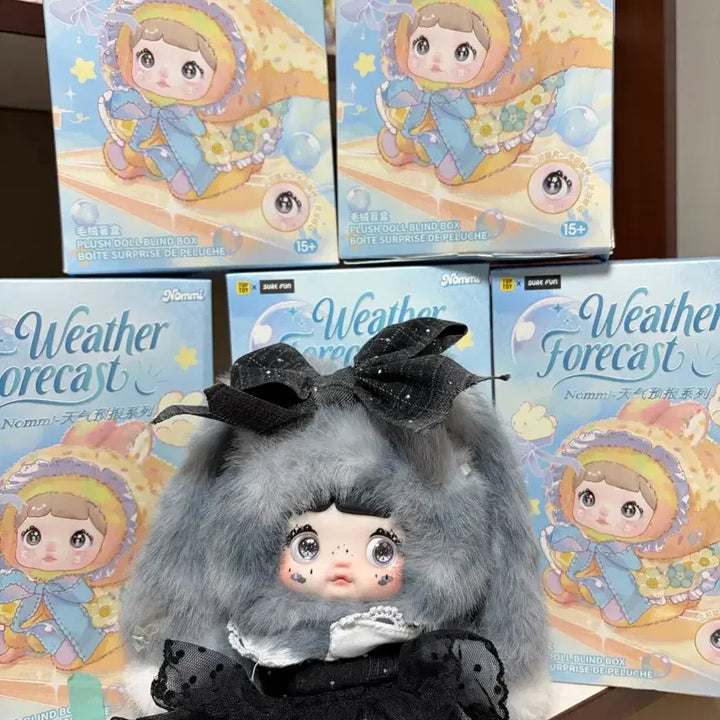 [BUNJANG] Nomi Weather Forecast Doll (Full Box, Card Included) / 노미 날씨예보 인형 풀박 (카드O)