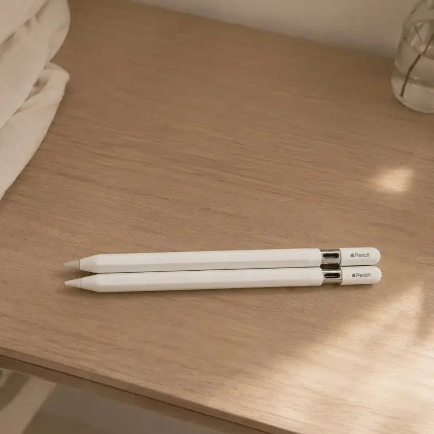 [BUNJANG] Apple Pencil (USB-C) 2nd Gen / 애플펜슬 c타입