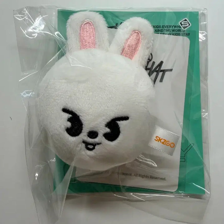 [BUNJANG] Stray Kids Disc and That Popup 2nd Ribbit Magnetic Holder (Photocard Included) / 스트레이 키즈 디스앤댓 팝업2차 리빗 마그네틱 홀더 (포카 포함)