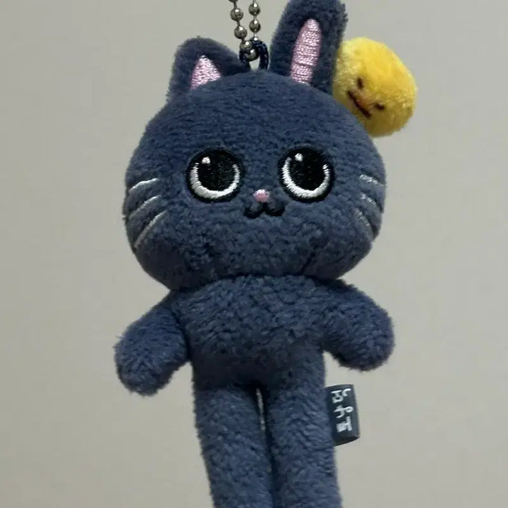 [SOLD OUT] 라이즈 원빈 롱다리 토냥덕