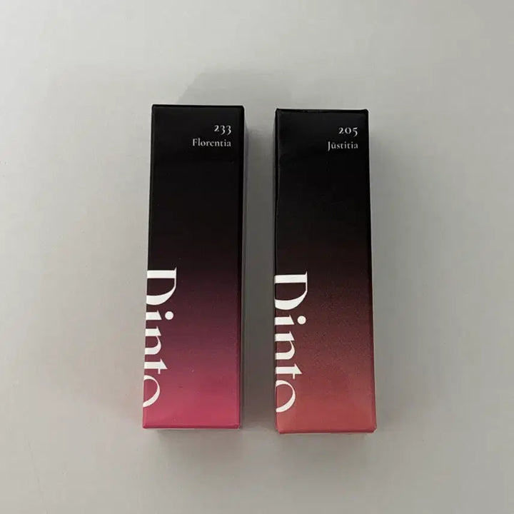[BUNJANG] Dinto Blurry Mood Lip Tint (Sealed) / 미개봉)딘토 블러글로이 립 틴트 219아베 마리아,205유스티티아 등