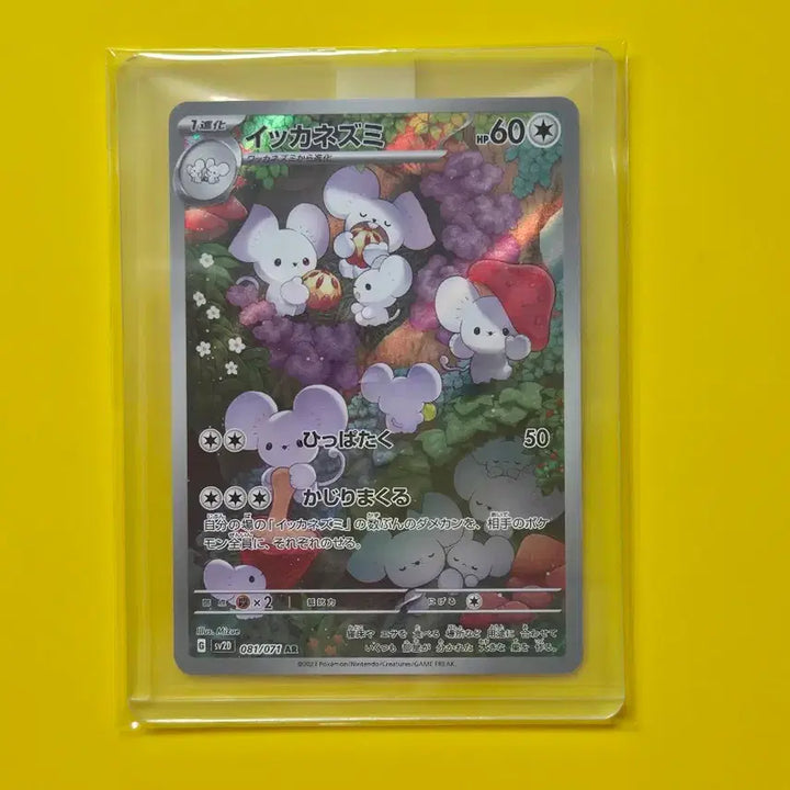 [BUNJANG] Pokemon Card Clay Burst Familiage Ikanezumi AR Japanese Edition / 포켓몬카드  클레이 버스트 파밀리쥐 이카네즈미ar 일본판