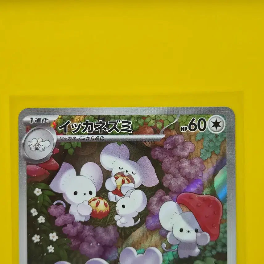[BUNJANG] Pokemon Card Clay Burst Familiage Ikanezumi AR Japanese Edition / 포켓몬카드  클레이 버스트 파밀리쥐 이카네즈미ar 일본판