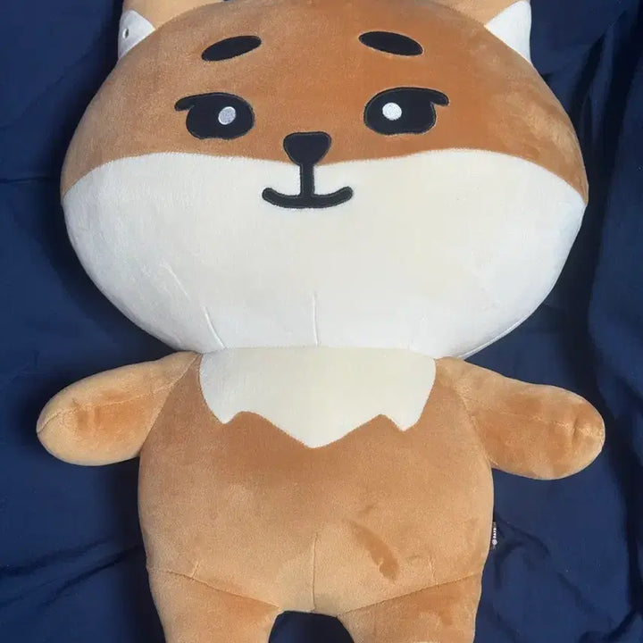 [BUNJANG] DAY6 Young K Giant Denimz Plush Doll / 자이언트 데니멀즈 케 데이식스 영케이