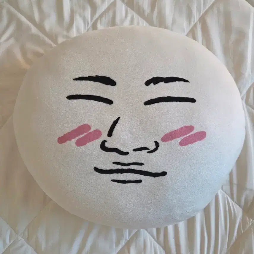 [BUNJANG] Jipdaesung 1st Anniversary Cushion / 집대성 1주년 쿠션 (현물0)