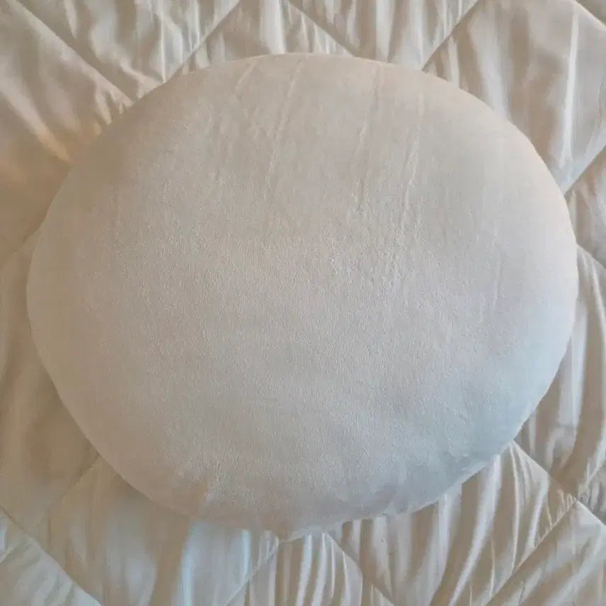 [BUNJANG] Jipdaesung 1st Anniversary Cushion / 집대성 1주년 쿠션 (현물0)