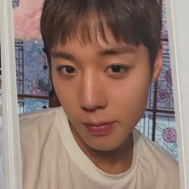 [BUNJANG] Park Jihoon Soundwave 1st Gen POB Photocard / 박지훈 사운드웨이브 1차 미공포 특전 간바때 포카