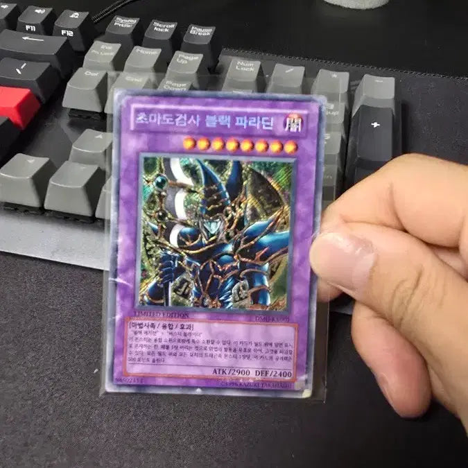 [BUNJANG] Yu-Gi-Oh! Dark Paladin Limited Edition / 유희왕 초마도검사 블랙 파라딘 리미티드 에디션