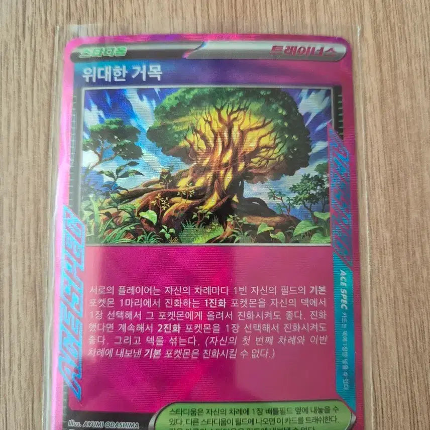 [BUNJANG] Pokemon Card Great Tree 101/102 ACE / 포켓몬 카드 위대한 거목 101/102 ACE