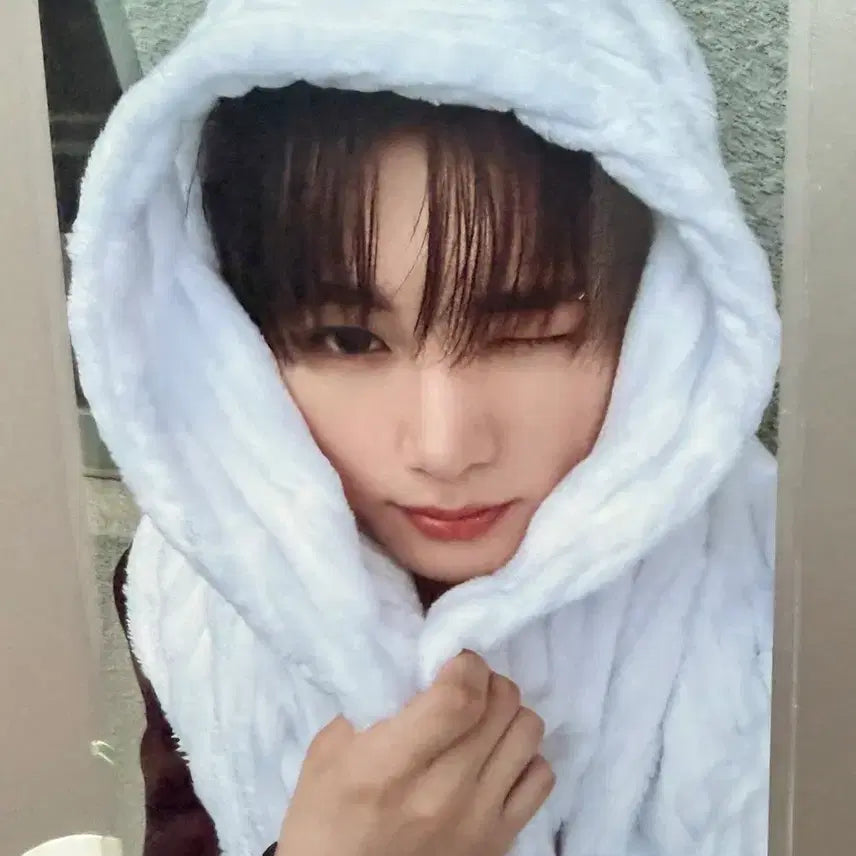 [BUNJANG] OMG Special Photocard / 알원 안신 OMG 스페셜 포카