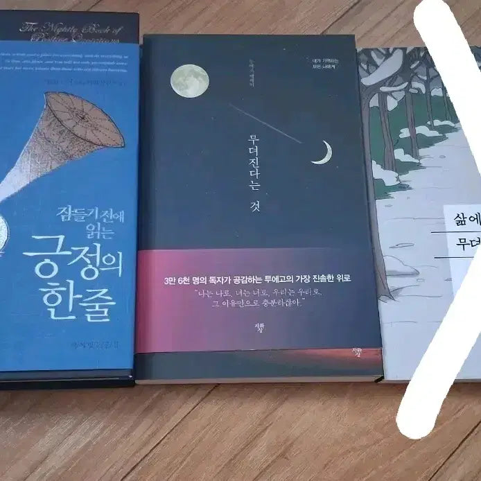 [BUNJANG] Positive Quotes / Essays / 책 긍정의 한 줄/에세이 무뎌진다는 것