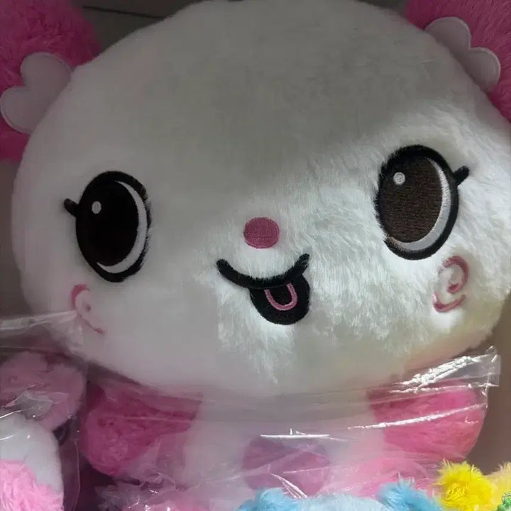 [BUNJANG] NCT WISH 30cm Plush Doll Pangyi / 엔시티위시 30cm 위시돌 팡이 판매