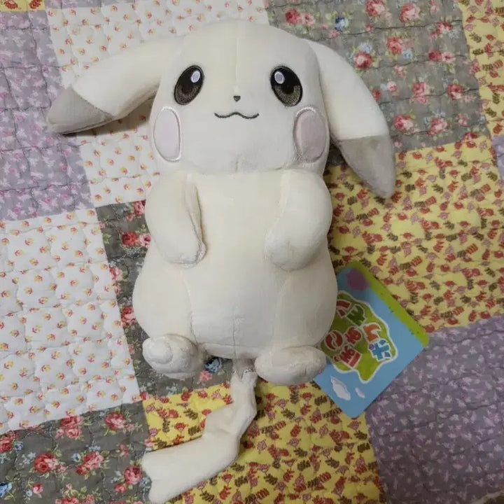[BUNJANG] Metamon Ground Changbaekachu New Product / 성수 메타몽 그라운드 창백카츄 새상품