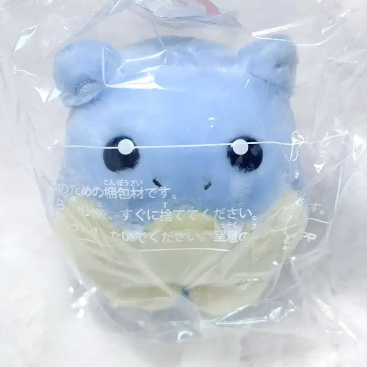 [BUNJANG] Pokemon Center "I Choose You!" Degurecho Plush / 포켓몬센터 너로정했다 데굴레오 인형