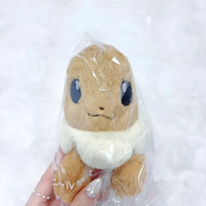 [SOLD OUT] 포켓몬센터 쿠타쿠타탓타 이브이 인형