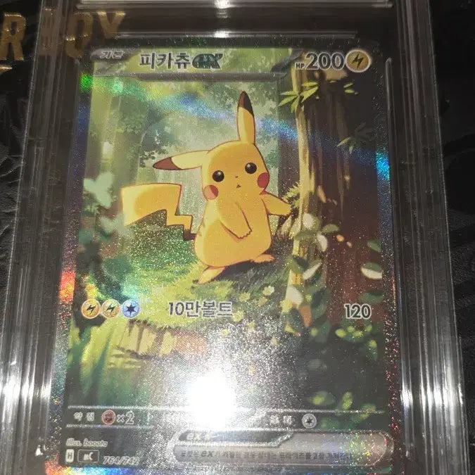 [SOLD OUT] 포켓몬 카드 100덱 피카츄  brg9
