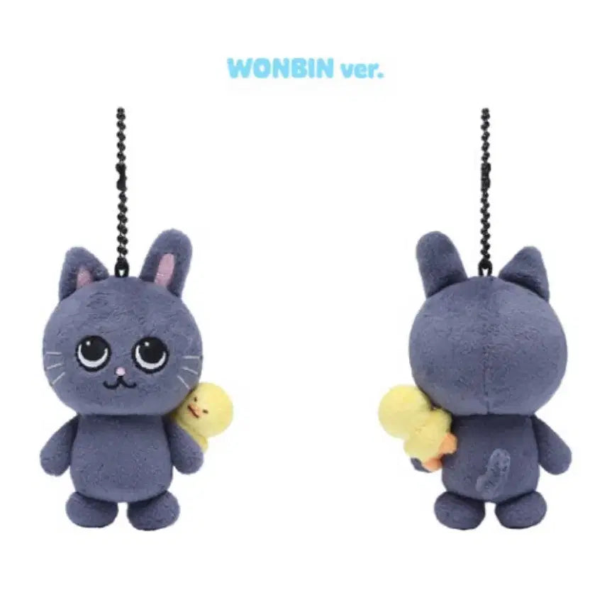 [BUNJANG] RIIZE Wonbin "RiiRiz" 8cm Plush / 번장 최저가) 라이즈 원빈 리라즈 8cm 토냥덕 판매합니다