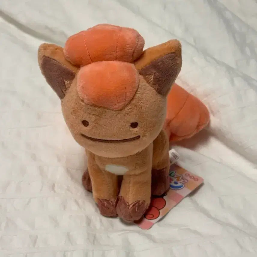 [BUNJANG] Official Transformation Ditto &amp; Ninetales Plush Set / 성수 팝업 정품)변신 메타몽 인형 식스테일