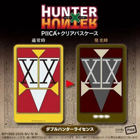 [BUNJANG] Hunter x Hunter License Card Set / 공구) 헌터헌터 PIICA 헌터 라이센스 카드 더블 헌터 헌헌