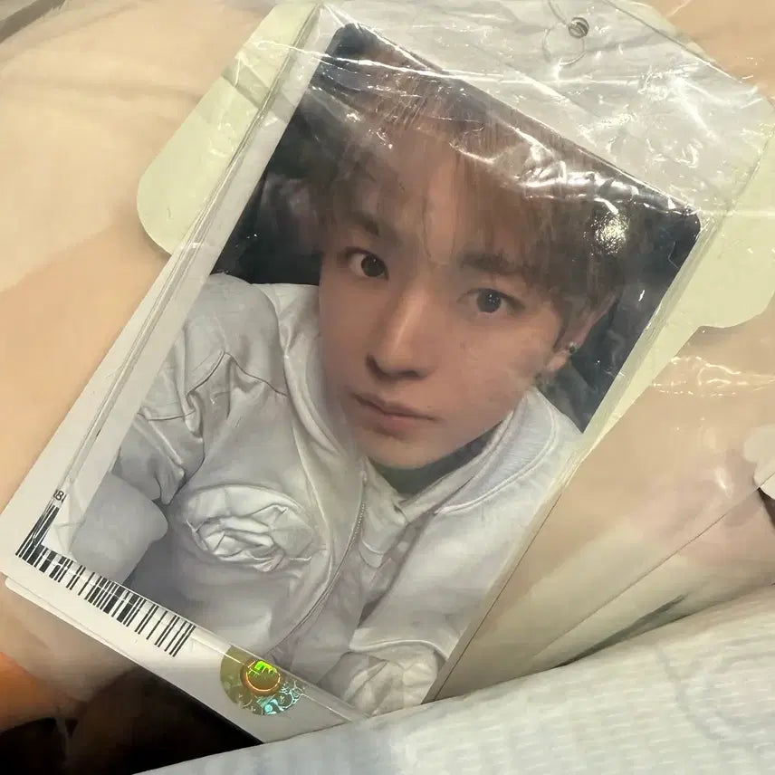 [BUNJANG] Wishnini Bubble Nyanie Medium Plush Cushion Photocard / 위시니니 버블냥니 미디엄 플러시 쿠션 포카