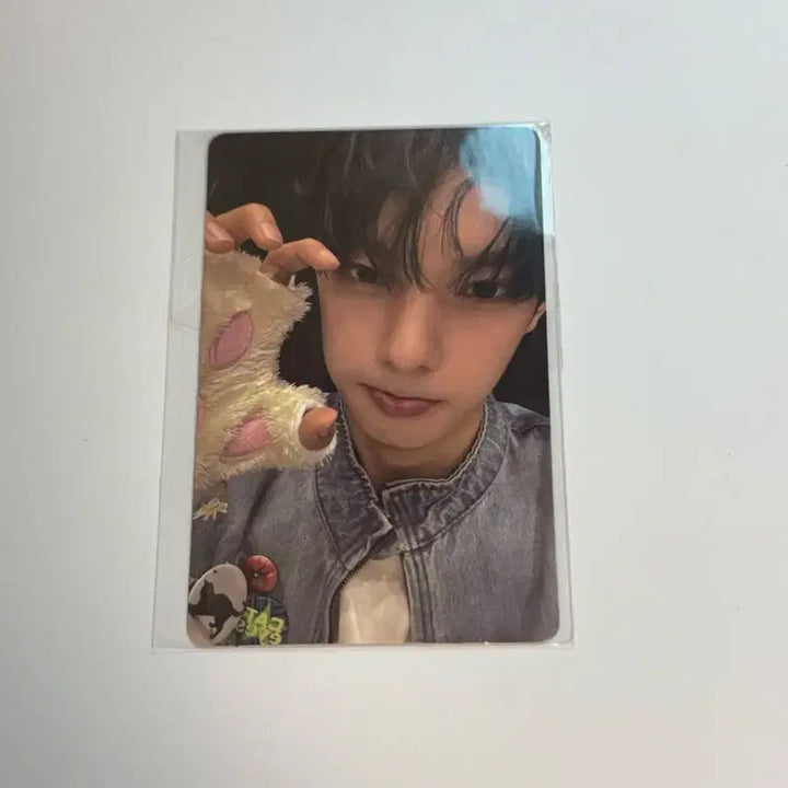 [BUNJANG] Choi Ri Woo Bopo Exhibition Photocard (Korean Version) / 최립우 보플 전시회 한국버전 포카
