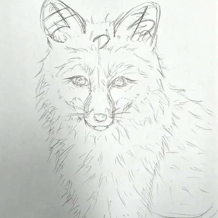 [BUNJANG] Custom Pet Portrait Commission - Digital and Traditional Options Available / 뚱띠 그림체 전문 반려동물 그림 커미션! 프사, 고퀄, 저퀄 다 가능!