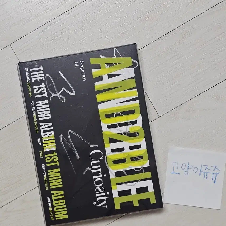 [BUNJANG] N.Flying Debut 1st Mini Album Signed CD / 앤더블 데뷔 1집 미니앨범 싸인 시디 팝니다 SELL