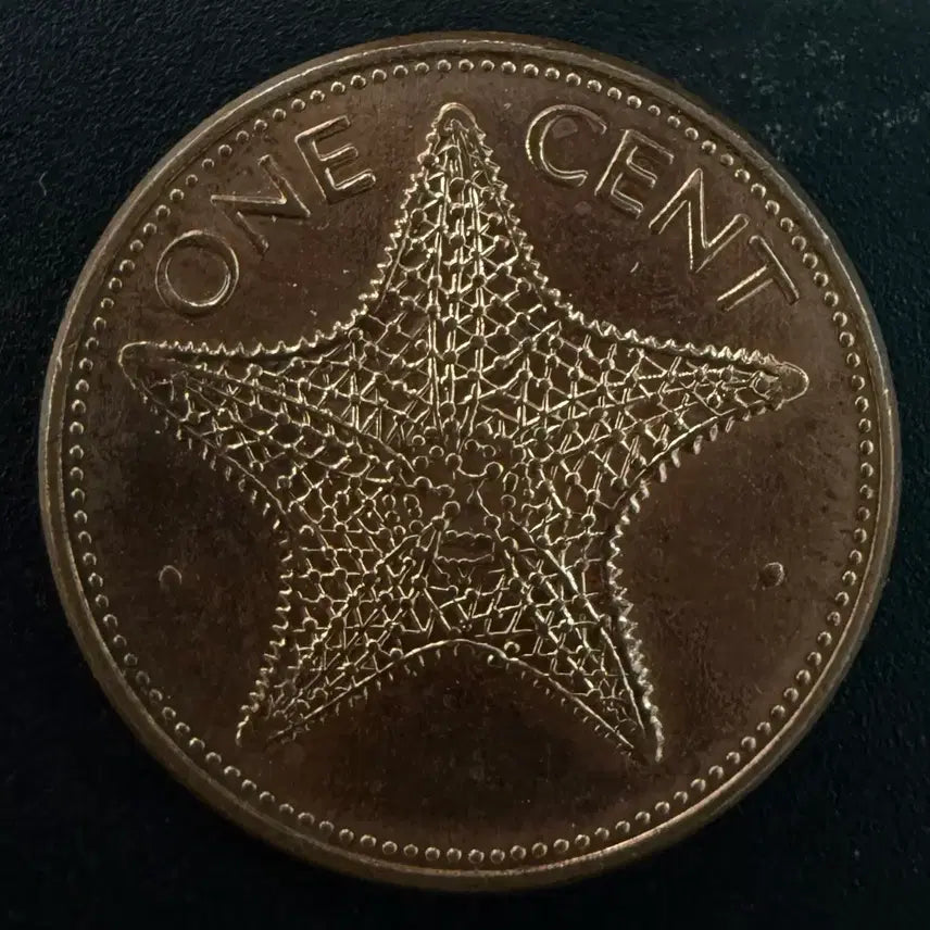 [BUNJANG] 1998 Bahamas 1 Cent Starfish Coin / [희귀]1998년 바하마 1센트 불가사리 동전 w1625