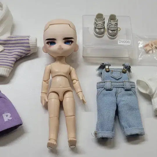 [BUNJANG] Obitsu 11 Ball-Jointed Doll Bundle Set / 급전) 오비츠11구관인형 일괄판매