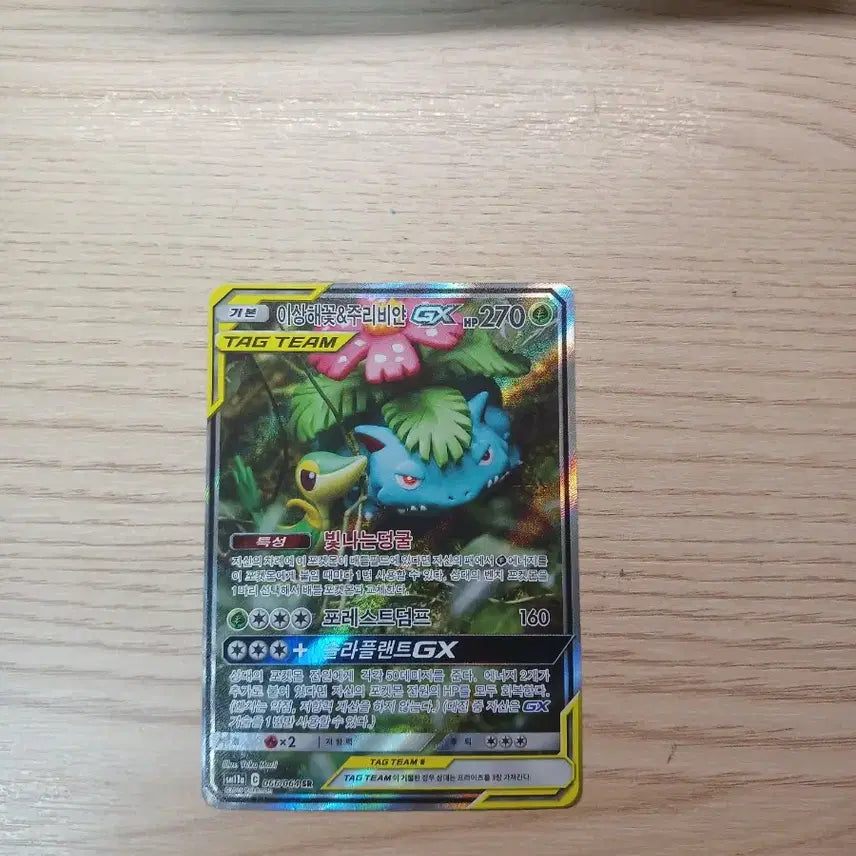 [BUNJANG] Venusaur &amp; Blastoise GX Tag Team Special Illustration Rare / 포켓몬카드 이상해꽃&amp;주리비얀 GX 태그팀 특일
