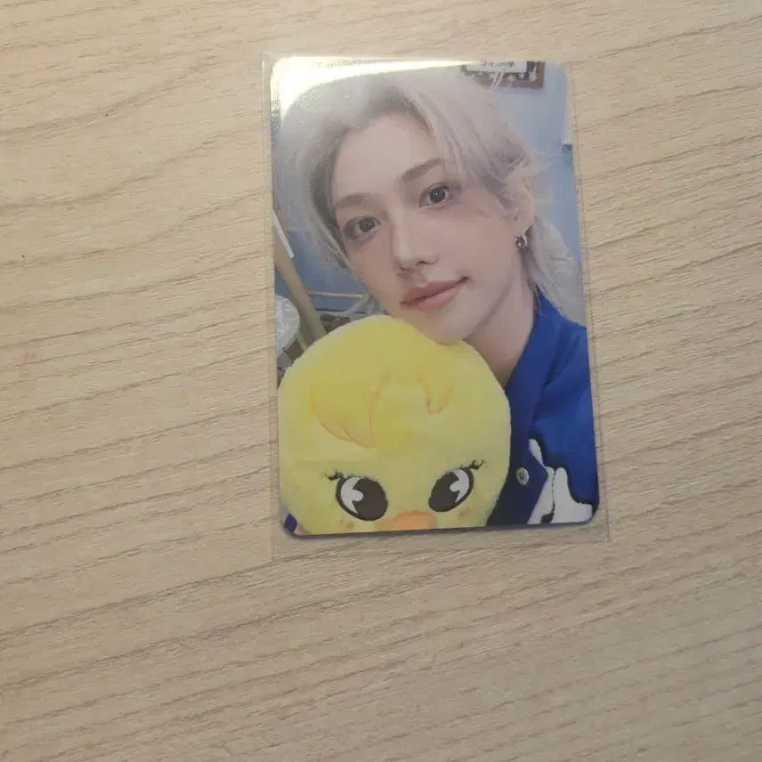 [BUNJANG] Stray Kids Felix 6th Fanmeeting Photocard / 6기 팬미팅 막첫날 필릭스 양도합니다
