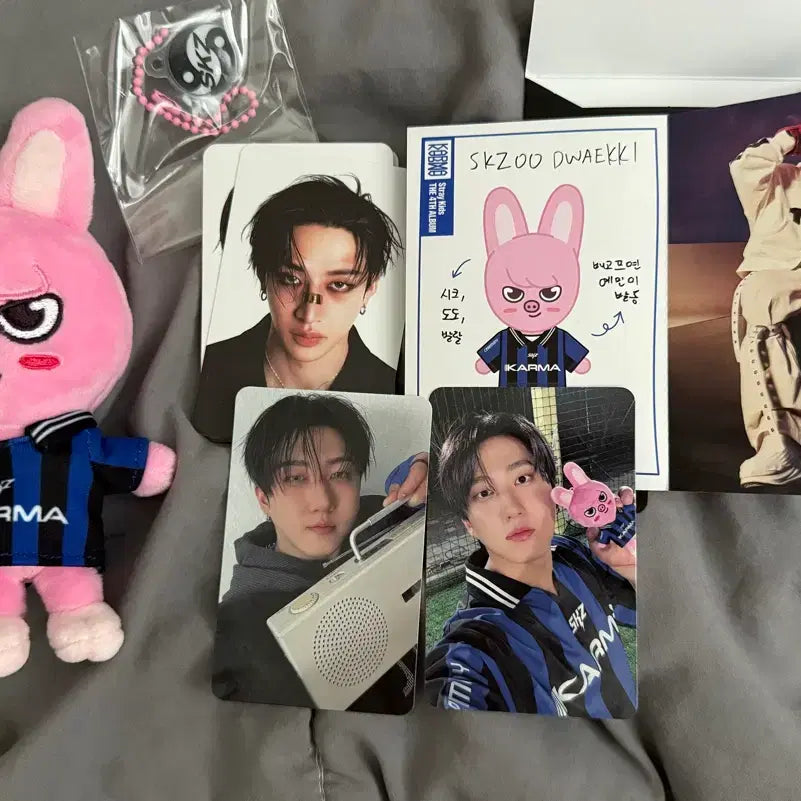 [BUNJANG] Stray Kids SKZOO Dwaekki Karma Photocard Set / [네고 가능] 스트레이키즈 카르마 SKZOO 돼끼 인형 포토카드 세트