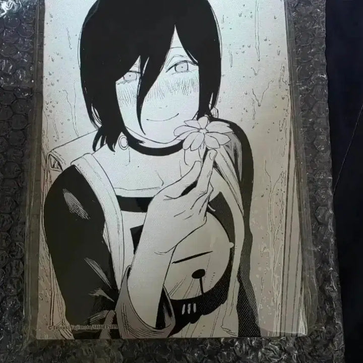 [BUNJANG] Chainsaw Man R+eg + Canvas Art Board / jcs 체인소맨 캔버스 아트보드