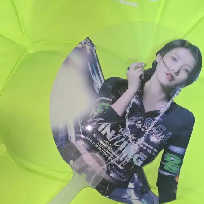 [BUNJANG] IU 2024 The Winning Encore Concert Picket, Cushion / 아이유 2024 더위닝 앵콜콘 피켓, 방석