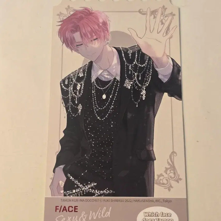 [BUNJANG] Tamom-gun Vol. 3 First Edition Ticket Photocard / 타몬군 지금 어느쪽 3권 초판 티켓 포토카드 포카