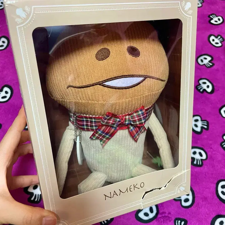 [BUNJANG] Namco 10th Anniversary Set (Bundle Set, Full Box) / 일괄]정품 10주년 나메코 2종 세트(풀박)