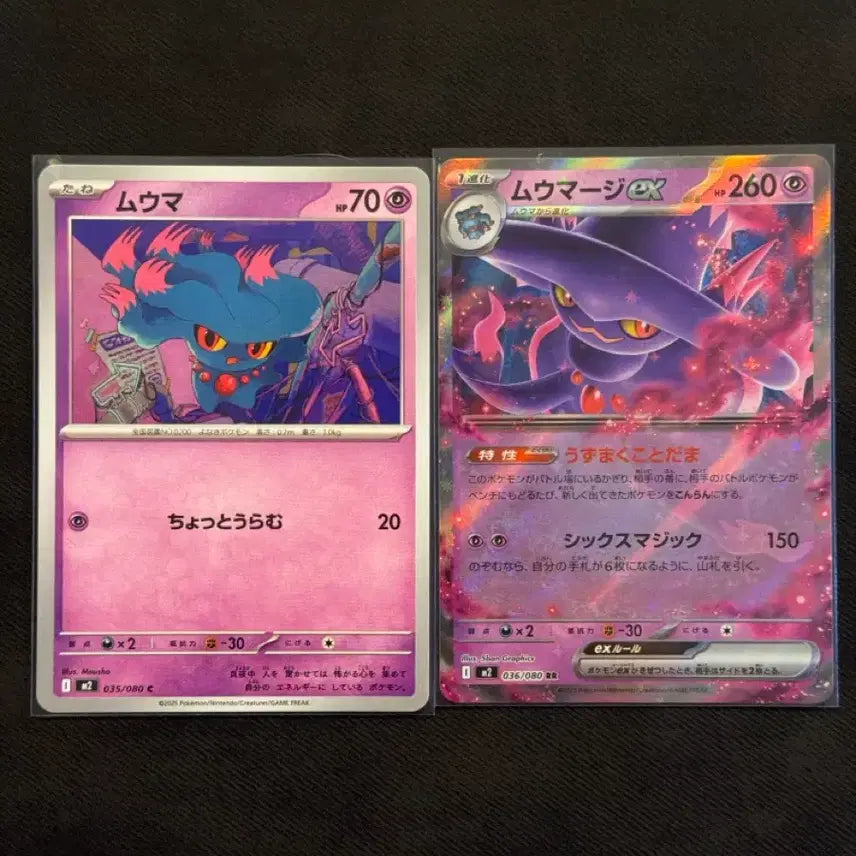 [BUNJANG] Pokemon Card Numel &amp; Camerupt Set Japanese Version / 포켓몬 카드 무우마 무우마직 세트 일본판
