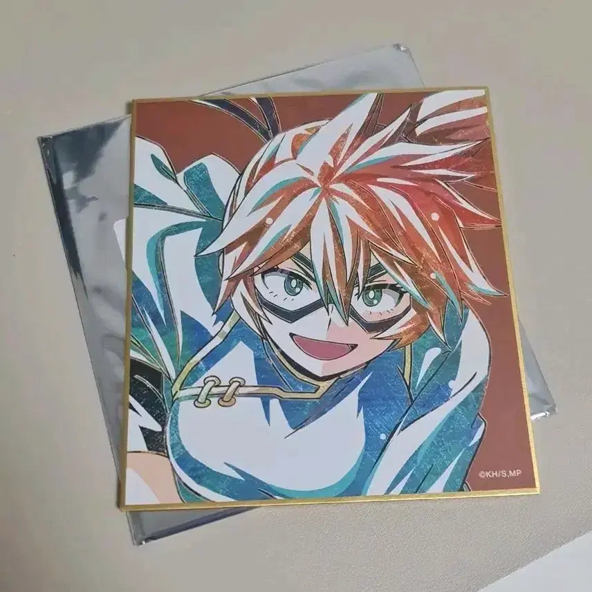 [BUNJANG] My Hero Academia Kendo Illustration Board / 나히아 히로아카 색지 켄도